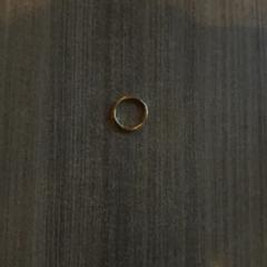 Squillo, come riportato da Van der Valk Hotel Haarlem utilizzando iLost