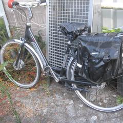 Electrische GIANT fiets zonder batterij, iLost에 보고됨