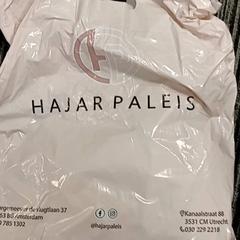 Sac plastique, a été signalé par Arriva Vechtdallijnen utilisant iLost