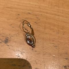 Oorbel, zgłoszono przez Pathé Ede przy użyciu iLost