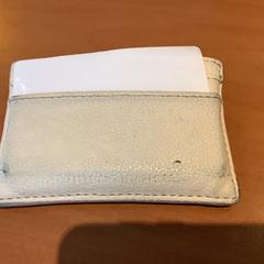 Cardholder Golim Fontainhas, as reported by Gemeente Amsterdam using iLost