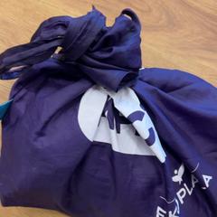 Väska, rapporterat av GVB med iLost