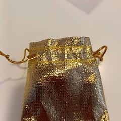 Bossa de cordó Goud, segons ha informat RAI Amsterdam mitjançant iLost