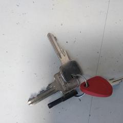 Sleutelbos, rapporterat av Hermes Eindhoven med iLost