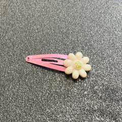 Haarspange, a été signalé par Schönbrunn "Group Center" utilisant iLost