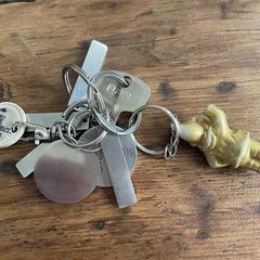 Keys, iLost에 보고됨