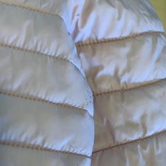 Jacket, as reported by Avonturenboerderij Molenwaard using iLost