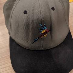 Casquette, a été signalé par Pathé Zwolle utilisant iLost