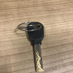 Sleutel, som rapportert av Pathé Zwolle ved bruk av iLost