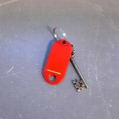 Kulcs, amint azt Diergaarde Blijdorp az iLost segítségével jelentette.