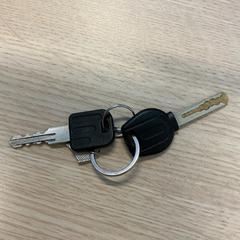 Chiavi, come riportato da Gemeente Arnhem utilizzando iLost