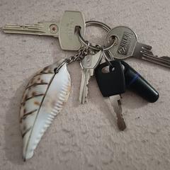 Sleutelbos, amint azt az iLostnak jelentették.