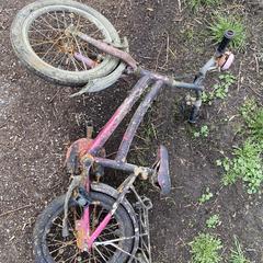 Roze kinderfiets, iLost-i jakinarazi zaion moduan