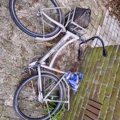 fiets がiLostに報告されました