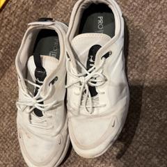 Sabatilla Wit, segons ha informat Van der Valk Hotel Apeldoorn - De Cantharel mitjançant iLost