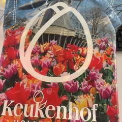 Tas, zoals gemeld door Madurodam met iLost