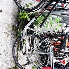 Pánsky bicykel Koga miyata, ako bolo nahlásené Stadswerk072 pomocou iLost