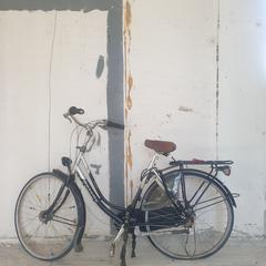 Damesfiets  Gazelle, come riportato da Stadswerk072 utilizzando iLost