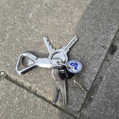 Sleutelbos a été signalé sur iLost