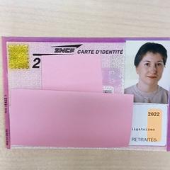 Abono de tempada Carte d'abonn, segundo informou IKEA Bayonne Ametzondo usando iLost