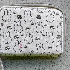 Carteira Rojin, como reportado por Regio Limburg - Leuven utilizando o iLost