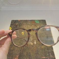 Reading Glasses Bruin gevlekt, merkloos, as reported by Het Noordbrabants Museum using iLost
