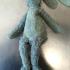 Cuddly rabbit Groen blauw, as reported by Burgers' Zoo using iLost