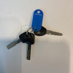 Chiavi, come riportato da Gemeente Amsterdam - Bureau Gevonden Voorwerpen utilizzando iLost