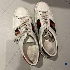 Sko gucci/ 07/11/2025, rapporterat av Conscious Hotel Vondelpark med iLost