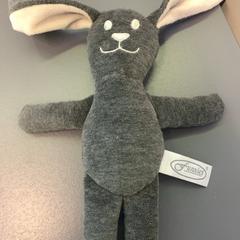 Knuffel, gemeldet von Eindhoven Airport über iLost