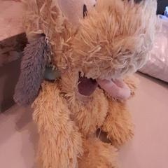 Knuffel Hond, zoals gemeld door Van der Valk Hotel Schiphol met iLost