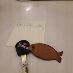 sleute; + hanger 'vis', segundo informou Alrijne Leiden usando iLost