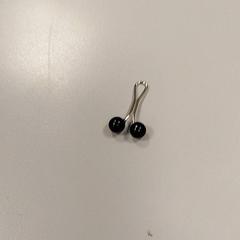 Clipje, som rapportert av Vrije Universiteit Amsterdam ved bruk av iLost