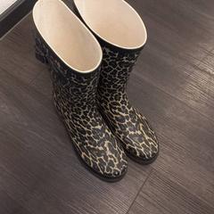 Botes Panther, segons ha informat Libéma Beurzen en Evenementen mitjançant iLost