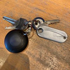 Sleutelbos, come riportato da Pathé Ede utilizzando iLost