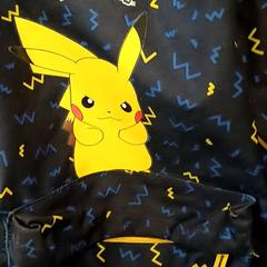 Rugzak/rugtas, som rapportert av Qbuzz GD Groningen HS ved bruk av iLost