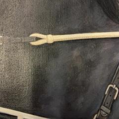 Målning, rapporterat av HTM med iLost