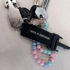 Llavero, ha sido reportado por Arriva Limburg Zuid con iLost