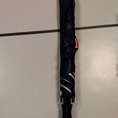 Paraigües, segons ha informat Vrije Universiteit Amsterdam mitjançant iLost