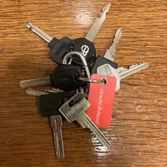 Sleutelbos an iLost gemeldet