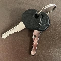 2 identieke (fiets?) sleutels aan ring, segundo informou a iLost