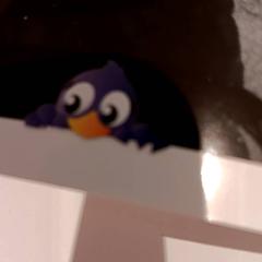 Attractiefoto carnaval festival, gemeldet von De Efteling über iLost