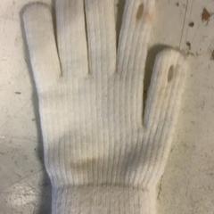 グローブ がiLostで Artis によって報告されました