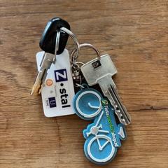 Chaves, como reportado por EBS OV Poeldijk utilizando o iLost