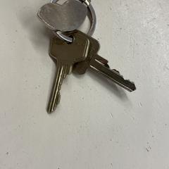 Clés, a été signalé par Het Amsterdamse Winterterras utilisant iLost