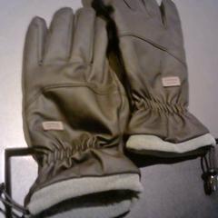 Handschuh, gemeldet von SnowWorld Landgraaf über iLost