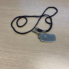 Anheng, som rapportert av Gemeente Arnhem ved bruk av iLost