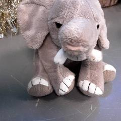 كنوفل، كما تم الإبلاغ عنه بواسطة Diergaarde Blijdorp عبر iLost