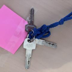 Sleutelbos, amint azt az iLostnak jelentették.