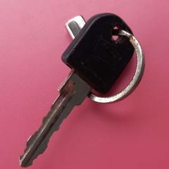 Llave, ha sido reportado por Arriva West-Brabant con iLost